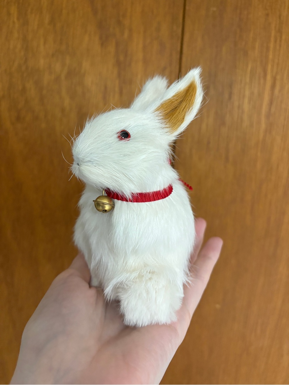 Realistic Rabbit Model Using Real Fur - Picture 3 of 7